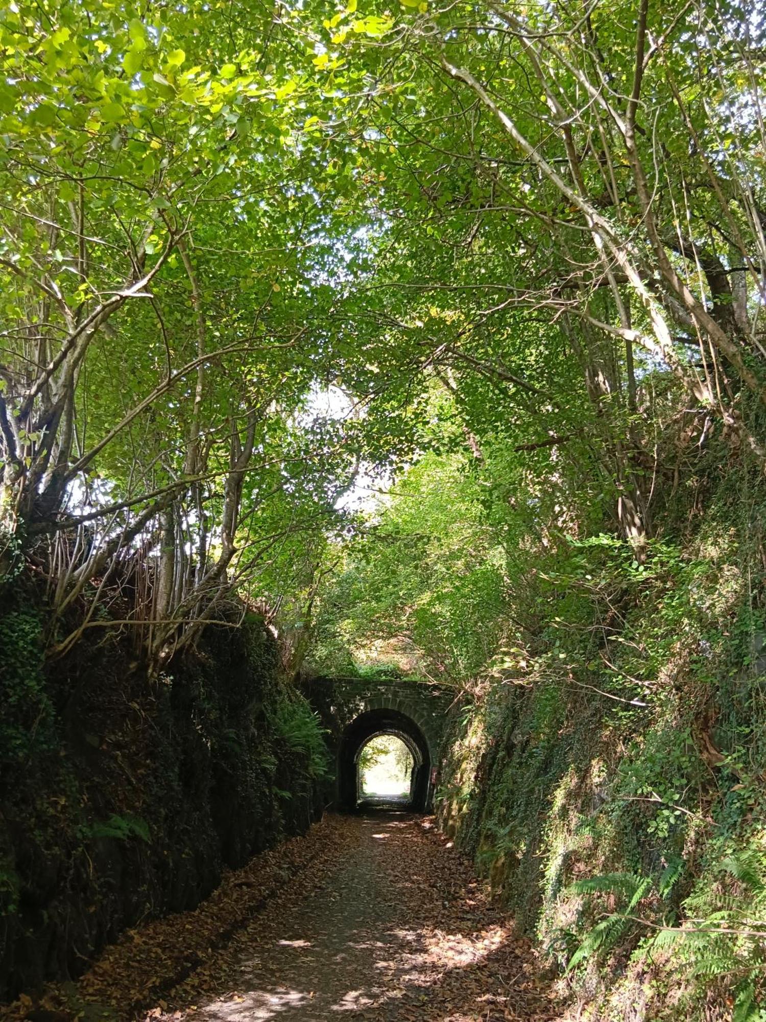 Hostal-Cicloturismo Lopenea ليتثا المظهر الخارجي الصورة